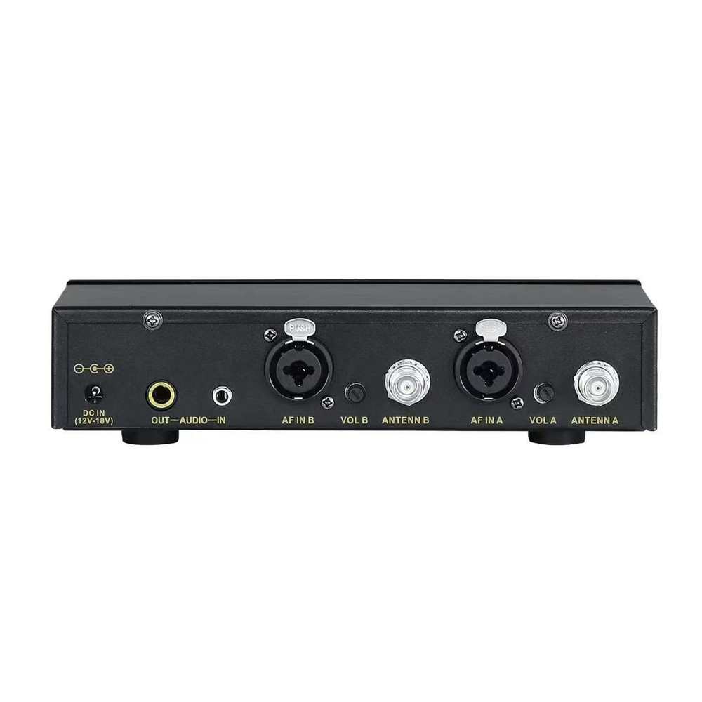 SKARIDIS Professional Wireless - In Ear Monitors For Singers 评论和价格